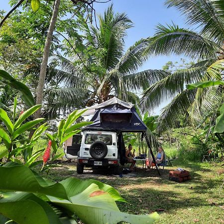 La Munequita Lodge 1 - Culture & Nature Experience Palmar Norte Extérieur photo
