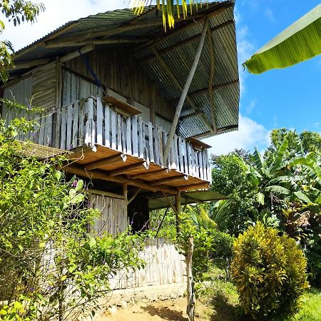 La Munequita Lodge 1 - Culture & Nature Experience Palmar Norte Extérieur photo