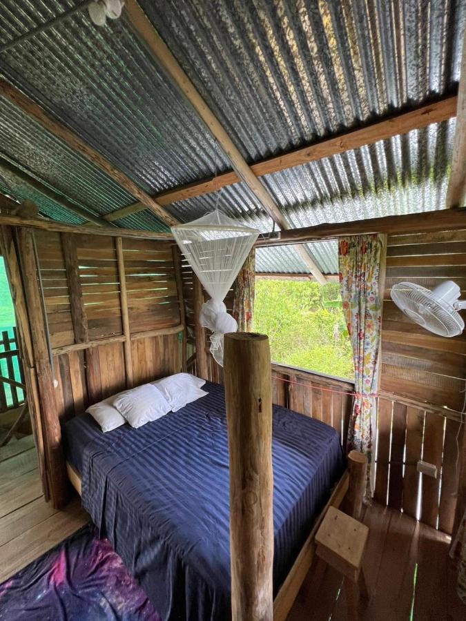 La Munequita Lodge 1 - Culture & Nature Experience Palmar Norte Extérieur photo